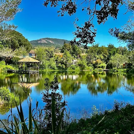 Les Restanques Vue Violettes 1167 Appartement *