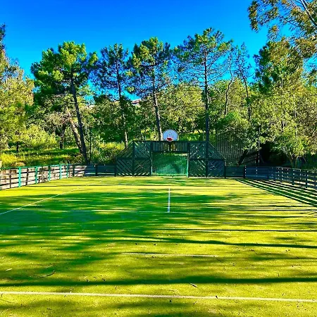 Les Restanques Vue Violettes 1167 Appartement