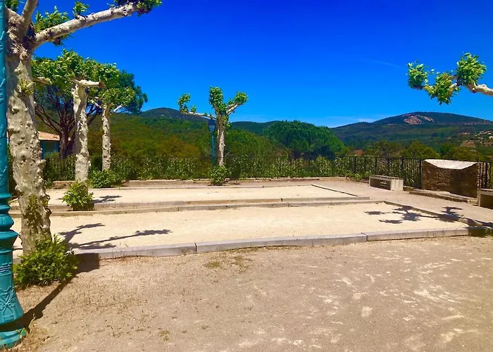 Les Restanques Vue Violettes 1167